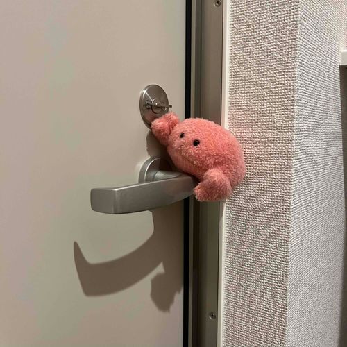 おはよう🔑
早朝さんぽに行ってくるね