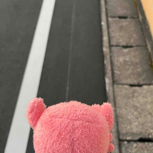 かにさんは、横じゃなくて前向きに歩けるのです