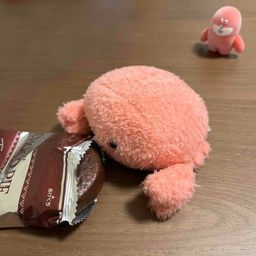 こそこそ......

( ᐢᢦᐢ  )ｼﾞｯ.......
