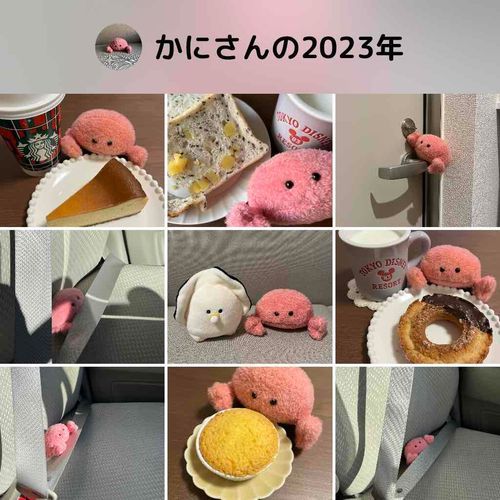 最近なかなかあそびに来れていなかったけど、かにさん元気にしてるよ🦀
来年もよろしくおねがいします🦀
