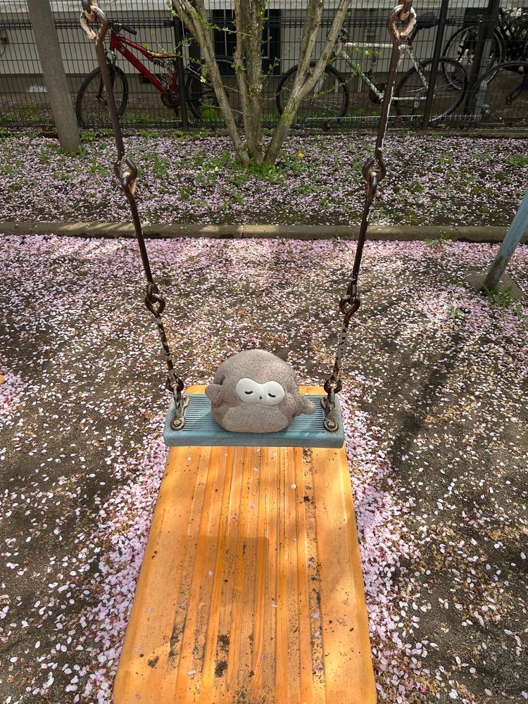 🌸