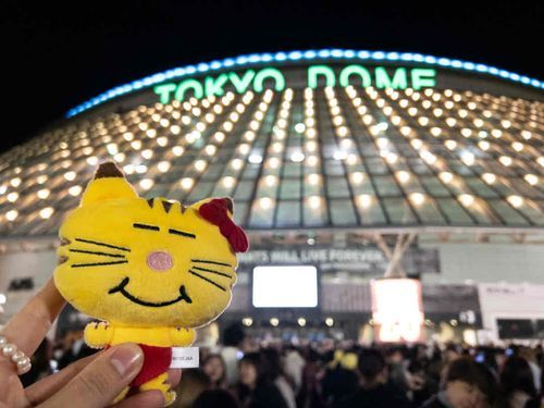 もっちゃんの　おともだちは
たのしいところへ　行ってきたみたい！！