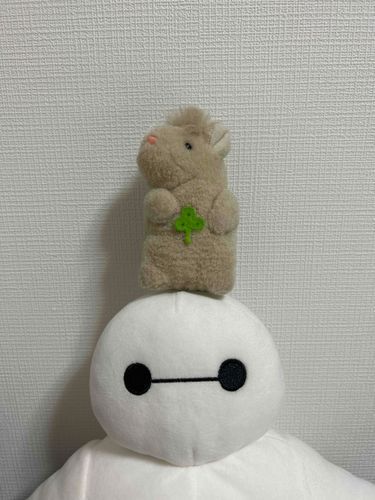 さいきんログインするのわすれてた＞＜
ひさびさにみたら　かわいいこがいっぱいで　いやされた🍀