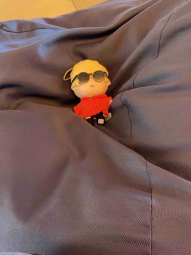 温泉入ってのぼせた(ぬい主が)