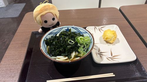 わかめの量にドン引きしている