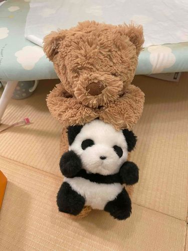 なでなでしてもらいました🎶
いつもやさしい あにき🧸です