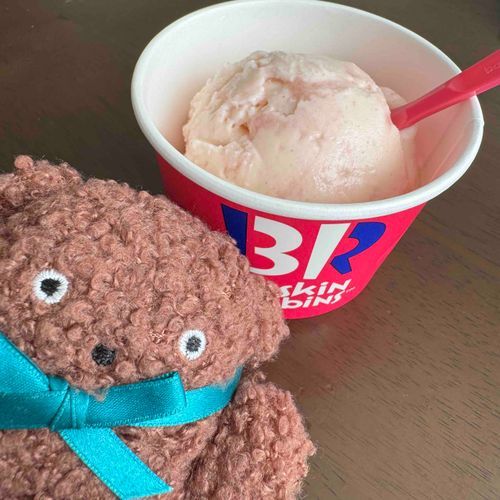ひさしぶり.もこ太だよ.

ずいぶん おやすみしちゃってたけど.ボクは げんきだよ.
サーティワンの さくらあじアイス.おいしかった.