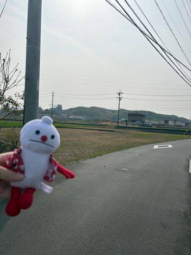 実家に久しぶりに帰省して通学路の散歩が懐かしくて泣きそうになりました