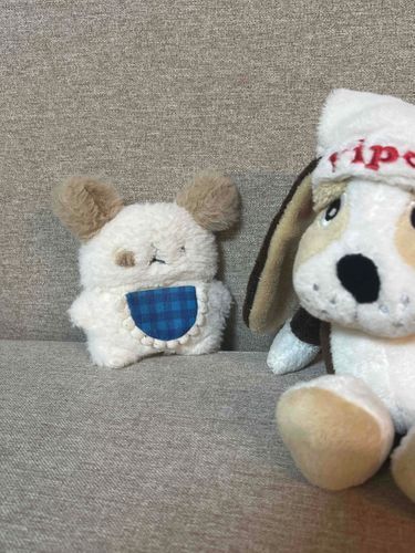 エプロン犬はちょっと怖いともだち