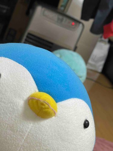 後ろのぬおーさん撮ろうと思ったら写りこんできた💦