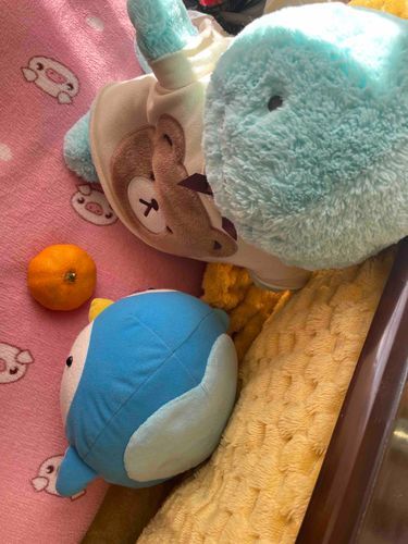 みかん食べてね