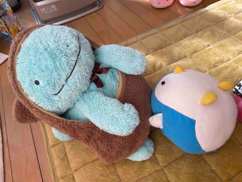 主の発作がでてもみくちゃにされちゃっただぬね