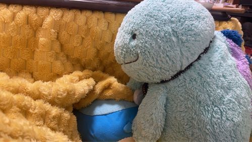 こらこら、押し込まないよ