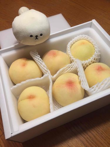 美味しそうな白桃！
桃の香りがするよ〜。
バレないように…いただきます。