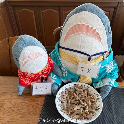 塩ダレもつ焼きだよ