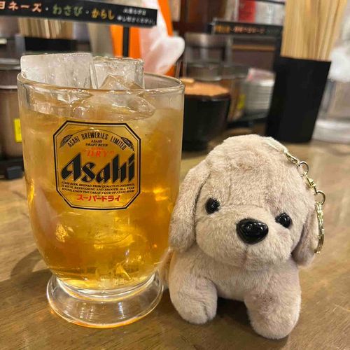 家をぬいぐるみの動物園にすることを目標としている大のぬいぐるみ好き！！今の相棒は🐺（※名前はまだない）