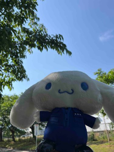 近所の散歩に行ってきた！

だんだん暑くなってきたーー！