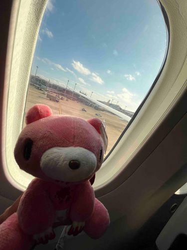 あけましておめでとうございます！
お久しぶりです！
今年も色々ぬいぐるみと出かけた時に撮った写真を投稿しようと思います。

ちなみにこれは去年の12月台湾に行った時に飛行機内から撮った写真です。