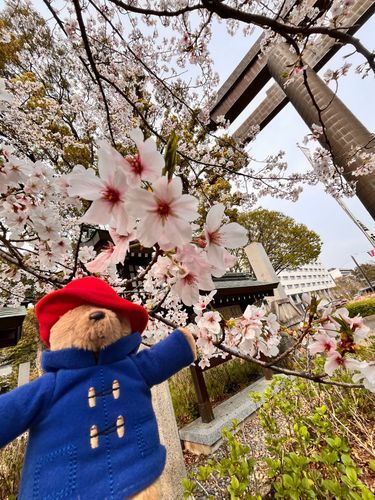 花見最高！！
この季節が1番好き！！