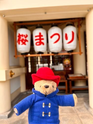 桜まつりめっちゃ良き！！