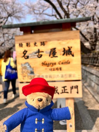 名古屋城の桜まつりにて！！