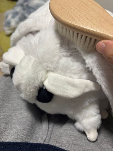 はじめまして！これからマイペースにやってこうと思います
こちらはカイコのハクさまです
ブラッシングされていて気持ちよさそうですね〜