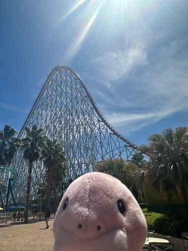 ナガシマの写真2枚目！
こっちはスチールドラゴンってジェットコースター。
世界で1番長くて、日本でいちばん高くて早いらしい。
トレーナー4回も乗ってたよ。
