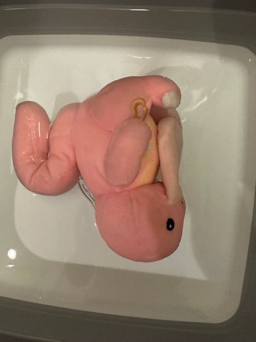 洗われた
溺れてるわけではないよ
ピアス穴が塞がらない…