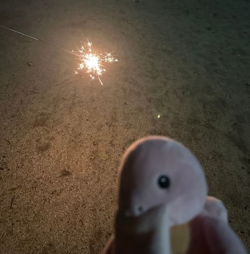 花火した
