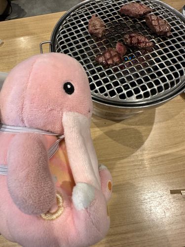 焼肉くった
これはらんぷ