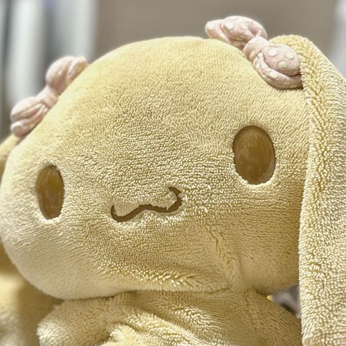 持ち主が保育園児の頃に出会ったぬいぐるみ‎🤍
あま〜い思い出をお届けします☕️🎀