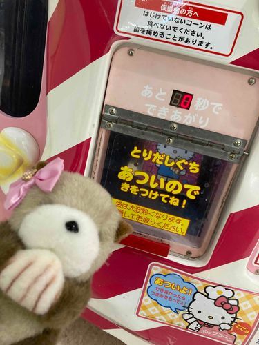 キティちゃんのポップコーン食べるよ〜🍿🐱