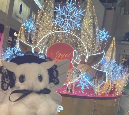 【おうちの人】
らーら以外のお友達も登場するのでよかったら見てね〜✨
この子はカイコガのモスちゃん🦋