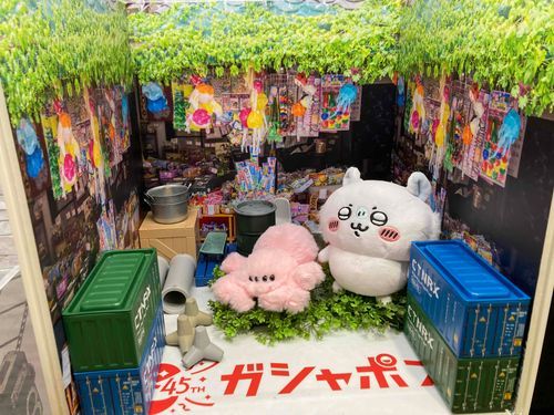 【おうちのひと】
主は色んなジャンルが好きでたくさんのぬい達と住んでます(՞ ᴗ ̫ ᴗ՞)
モモンガちゃんと桃色のハエトリグモちゃんです^ > ~ < ^