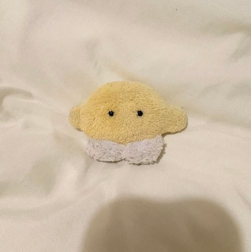 レモンの赤ちゃんの、れもみです！ときどきおともだちもつれてくるよ。よろしくね！