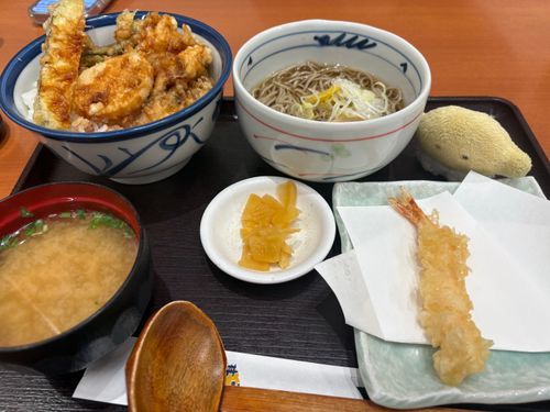 てんぷらそば、おいしかったね
たべすぎは、だめだよ