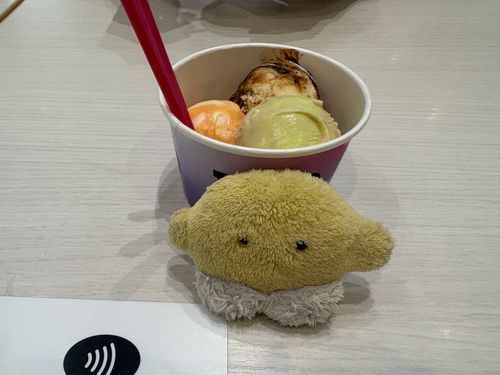 おいしいアイスたくさんたべたね！