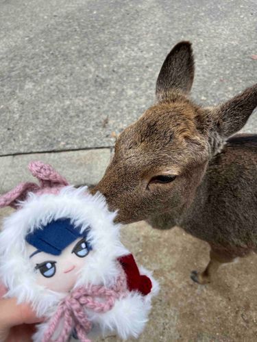 むーちゃんイベントおめでとう！
またおでかけしようねお写真撮らなきゃ