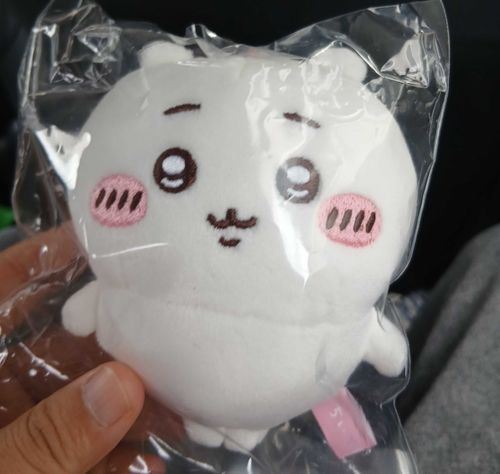 ちいかわちゃんを迎えました！
フ！！