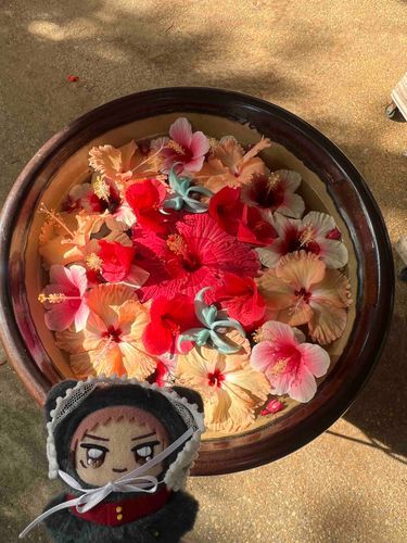 🌺