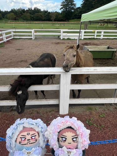 🐴🐴双子かな