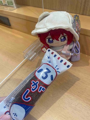 はちがつむいか
ねさまと、ねさまともだちと、あそびについていきました。
からおけ、にもいきました。
ぬいぐるみのともだちいっぱいです！
