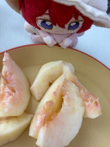 ももです！あのひと、おもいだします！らいばる！