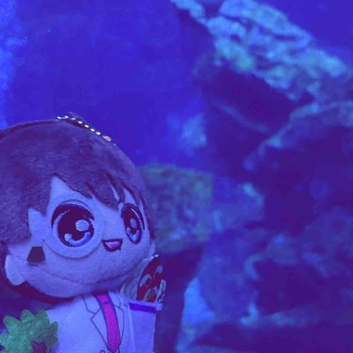 水 族 館 へ 参 上 致 し ま し た 。 

皆 様 お 久 し ぶ り で す 、 少 し ず つ 

投 稿 し て い こ う と 思 い ま す

                     ︎ ︎ ︎ ︎ ︎ ︎ ︎ ︎ ︎ ︎ ︎ ︎ ︎ ︎ ︎ ︎ ︎ ︎ ︎ ︎ ︎ ︎ ︎ ︎ ︎ ︎ ︎ ︎ ︎ ︎ ︎ ︎ ︎怪盗キッド♡