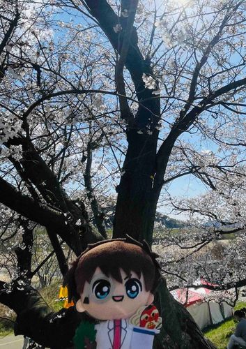 と て も 綺 麗 な 桜 を 頂 戴 致 し ま す 。 


               ︎ ︎ ︎ ︎ ︎ ︎ ︎ ︎ ︎ ︎ ︎ ︎ ︎ ︎ ︎ ︎ ︎ ︎ ︎ ︎ ︎ ︎ ︎ ︎ ︎ ︎ 怪 盗 キ ッ ド ♡