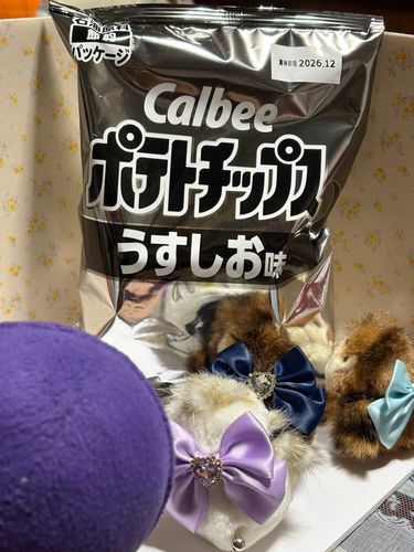🎸「これがうわさの、ぎんいろぱっけーじのぽてち…！」
🦉「色が無いと、凄い違和感感じますね。」
🐤「みんながゆがんでうつってて、おもしろい！！…のです😂」
🐦「…………食べたい。」