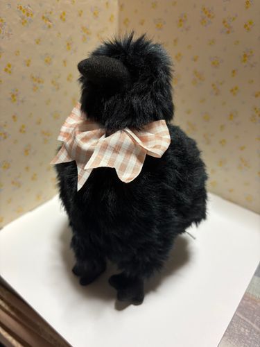 🐦‍⬛「アタシ、名前はモンちゃん！自分でちゃん付けはどうかと思う子も居るだろうけど、アタシは気に入ってるから気にしてないよ😏
皆！これからよろしくね！」