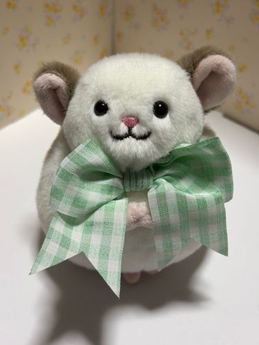 🐭「わたくし、ぐりと申します。これからじろぬいさんのご家族や皆様と仲良く出来たらと願っております♪
何卒宜しくお願いします🙇‍♀️」