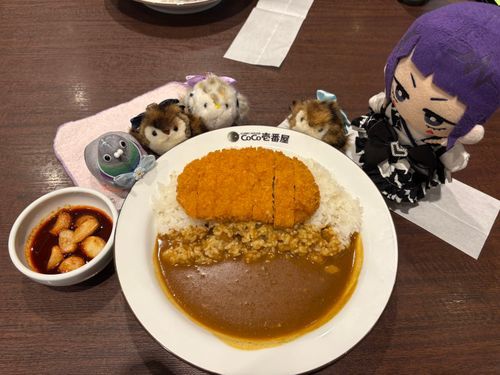 🎸「ここいちのかれー、たべにきたよ✨
すーぷかれーを、たべにいくときいがいこないから、なんかしんせんだったよ🤣
ちなみに、いちから！でたのんだから、からいのにがて！なステラ（🐤）はかなりキツそうだったよ…」
