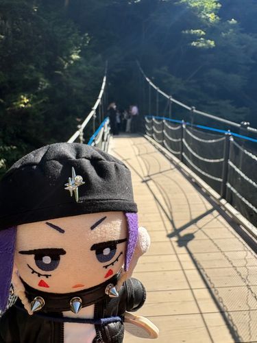 🎸「つりばし！はじめてわたったよ…
あるくたびゆれて、すごいどきどきする…これが、つりばしこうか！ってやつなのかな🤔」